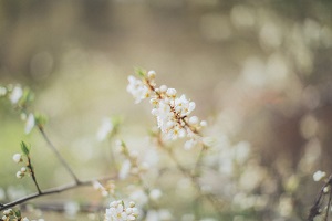 婚姻走势-未来婚姻-婚姻运势-测试婚姻